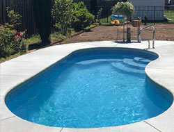 Kidney Shaped Swimming Pools Manufacturer in Delhi